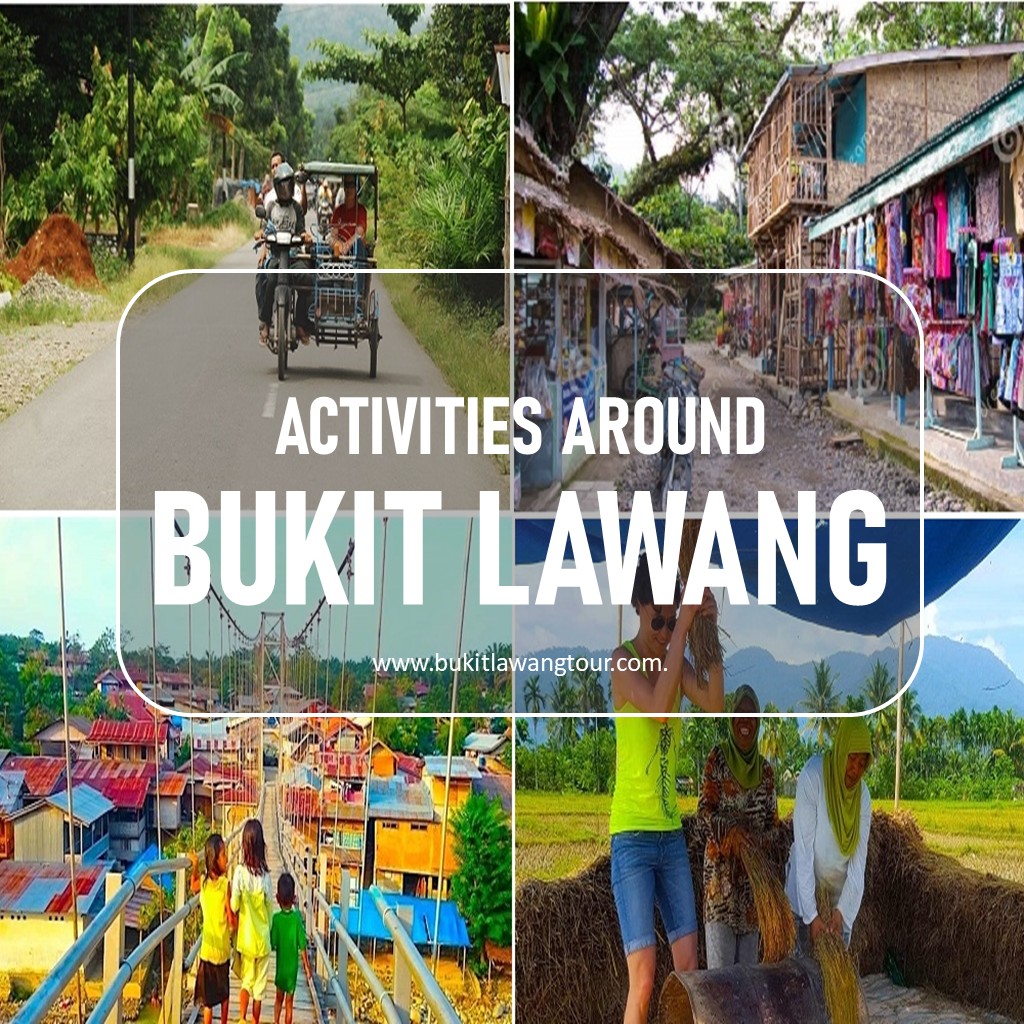 Activities Around Bukitlawang
