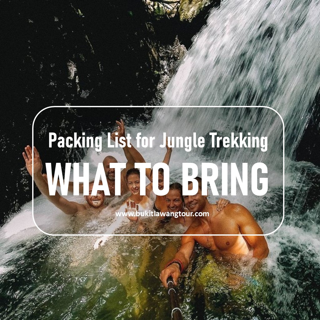 What to bring for jungle trekking