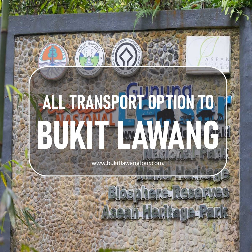 Go to Bukit Lawang : All Transport Options