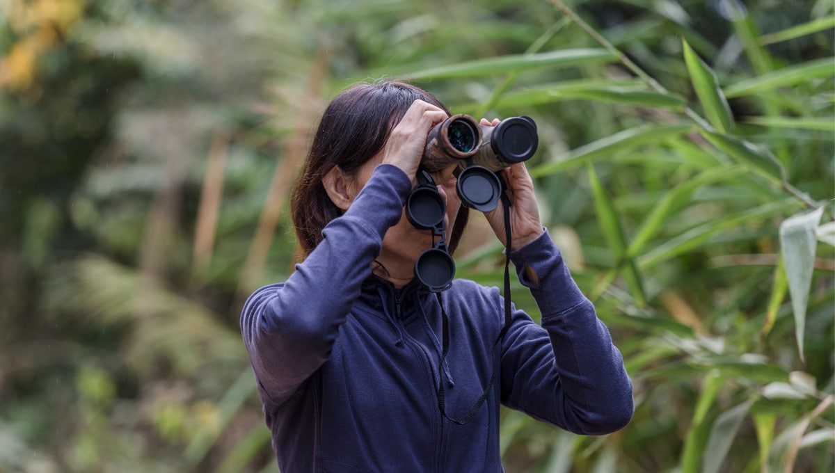 birding.jpg