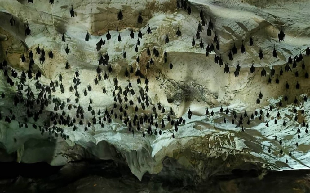 batcave1.jpg