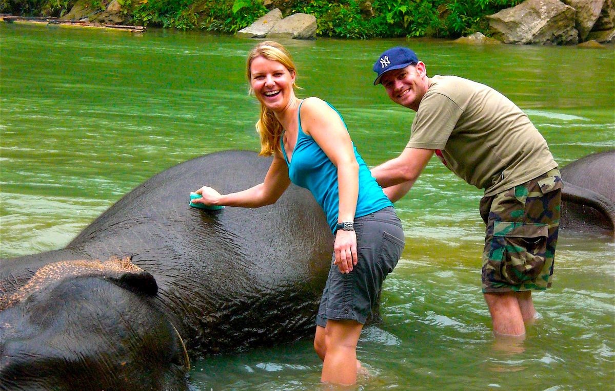 elephanttours.jpg